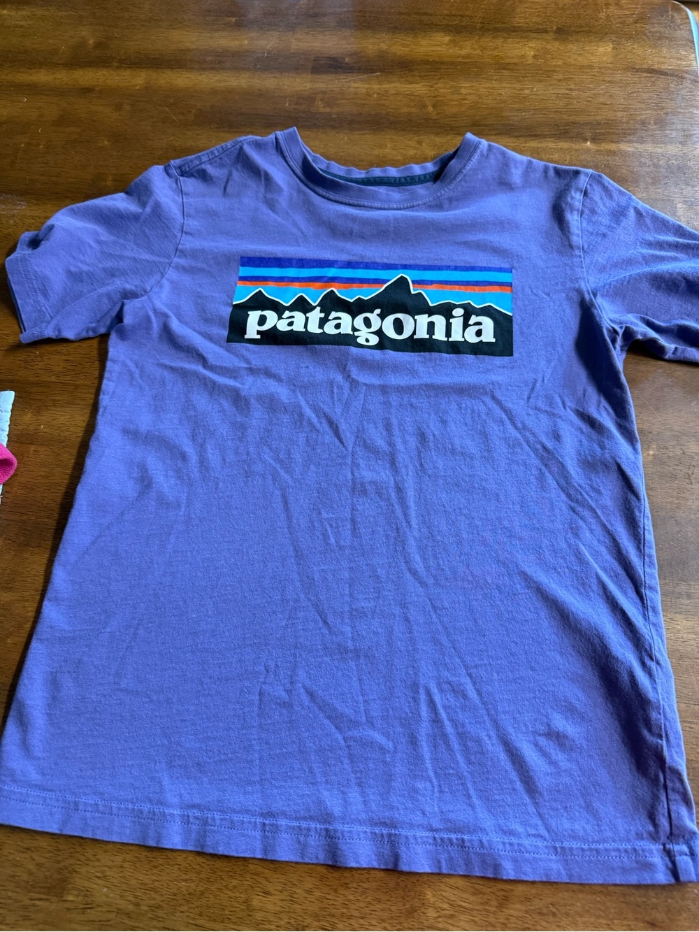 Patagonia Purple Kids Short-Sleeve Logo Tee